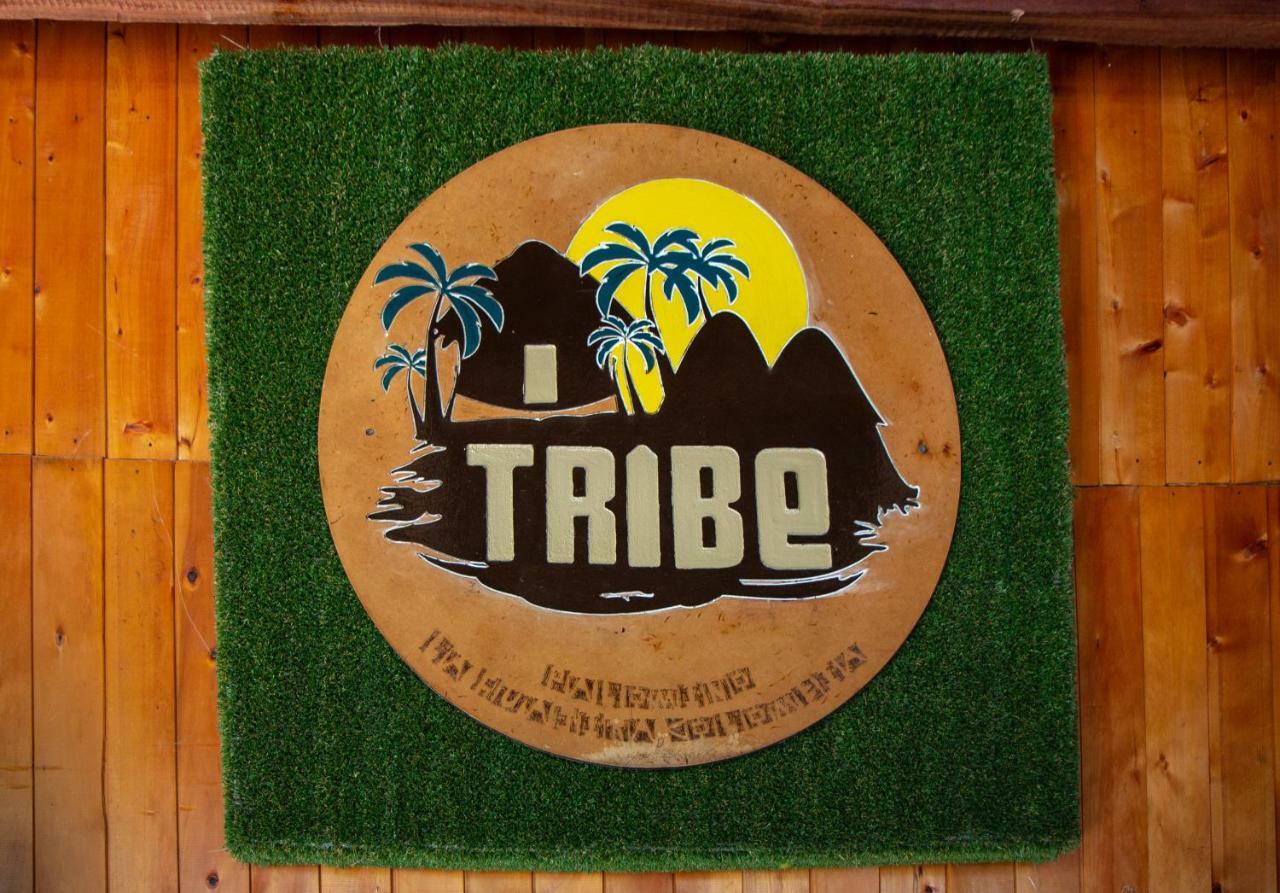帕洛米诺 Tribe酒店 外观 照片
